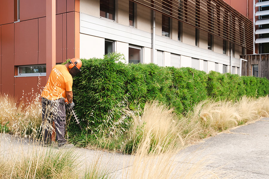 espace vert entretien