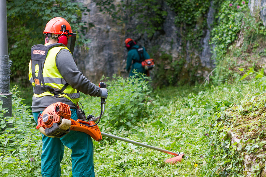 debroussaillage matériel puissant
