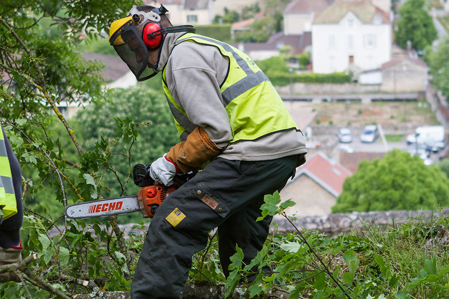 Elagage abattage arbres
